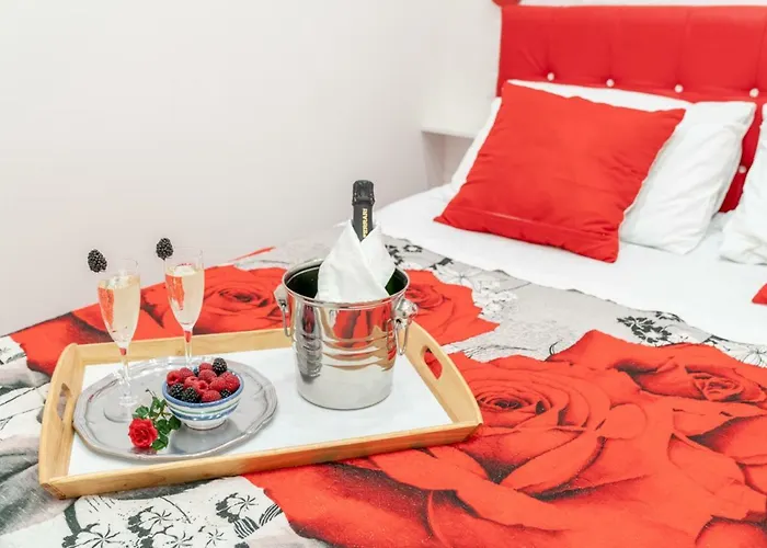 Casa Lolla, A Red Rose In *